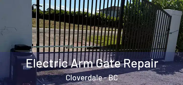 Electric Arm Gate Repair Cloverdale - BC