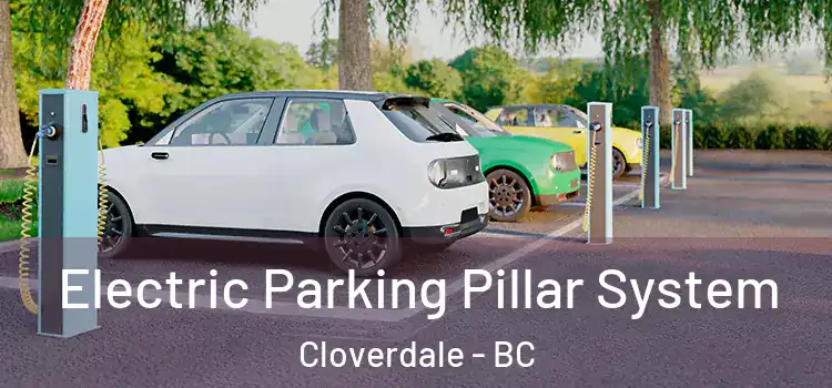 Electric Parking Pillar System Cloverdale - BC