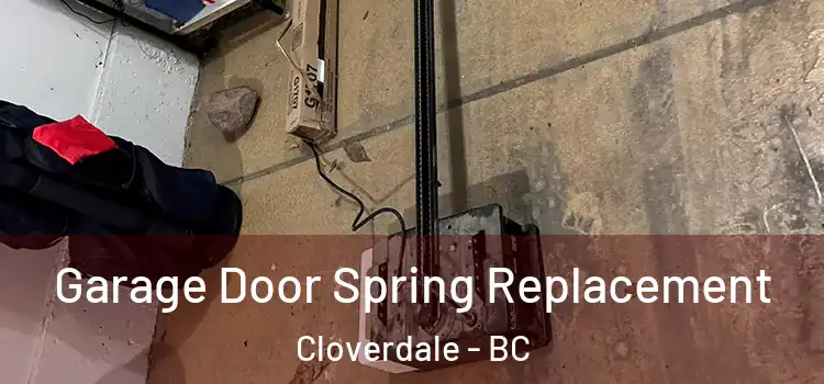  Garage Door Spring Replacement Cloverdale - BC
