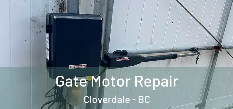 Gate Motor Repair Cloverdale - BC