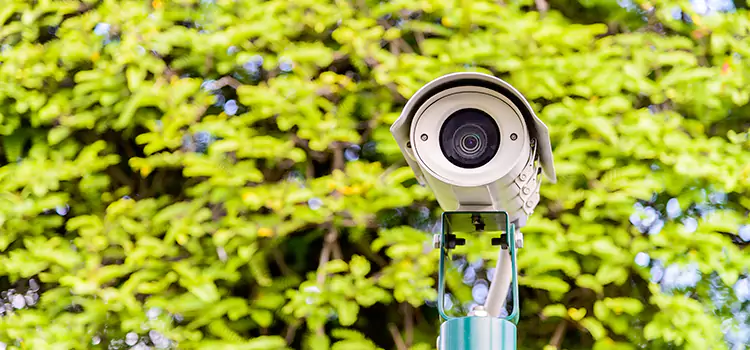 Advanced Surveillance Solutions for Every Need in Cloverdale