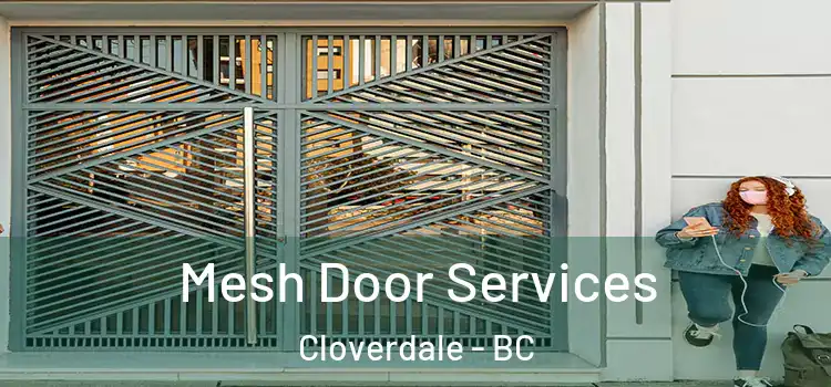 Mesh Door Services Cloverdale - BC
